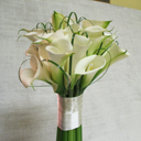 posy1