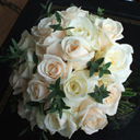 single rose